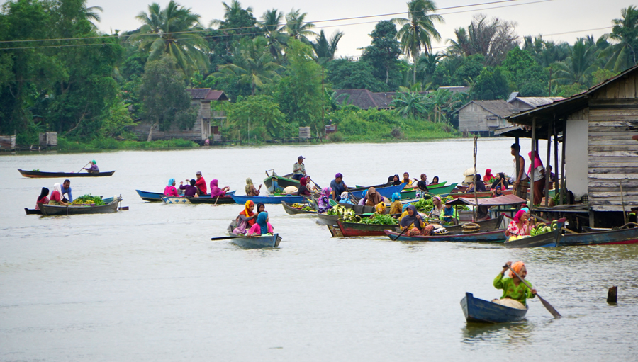Data-driven analysis of local government performance and public services