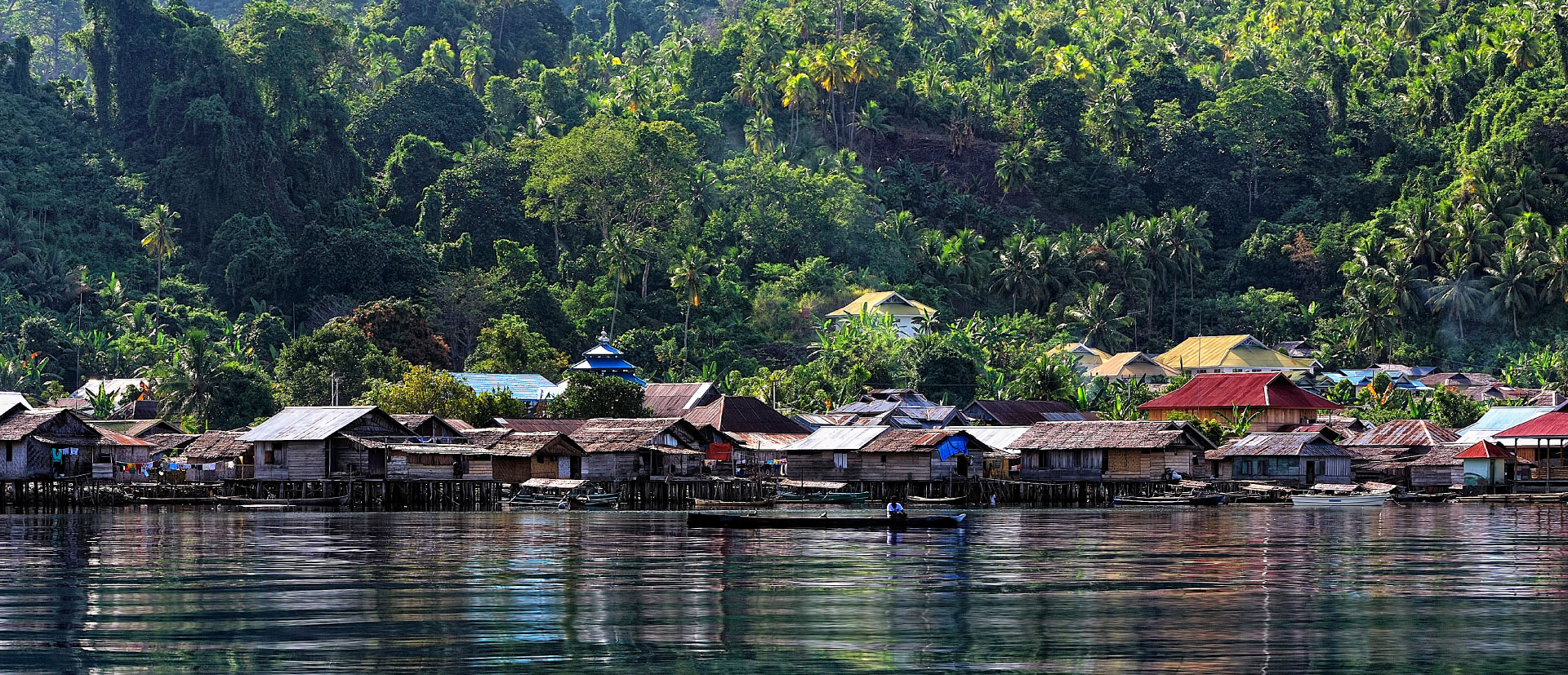 Governance Capability, Not Wealth, Predicts How Long Indonesians Live