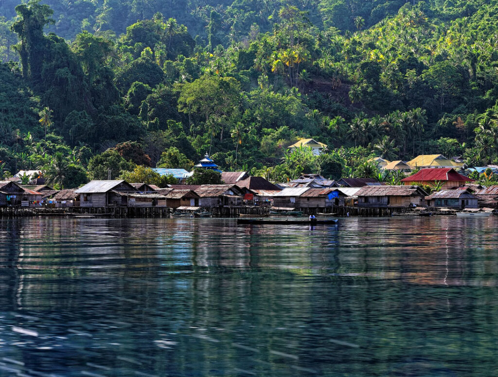 Governance Capability, Not Wealth, Predicts How Long Indonesians Live